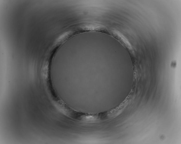 X0000102360163200808151821