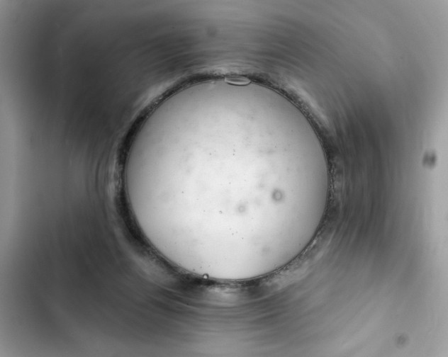 X0000102360164200808151821