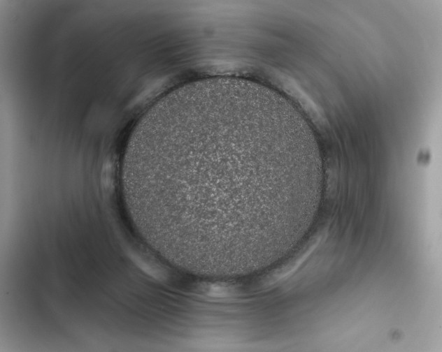 X0000102360165200808151821