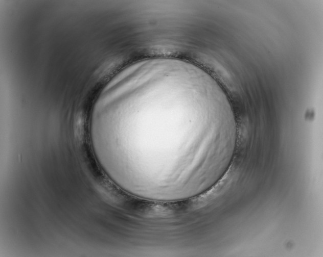 X0000102360166200808151821