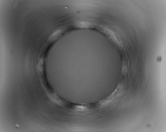 X0000102360167200808151821