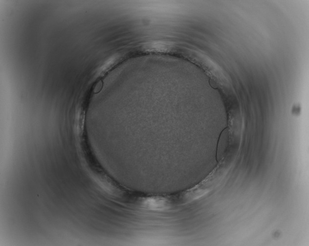 X0000102360168200808151821