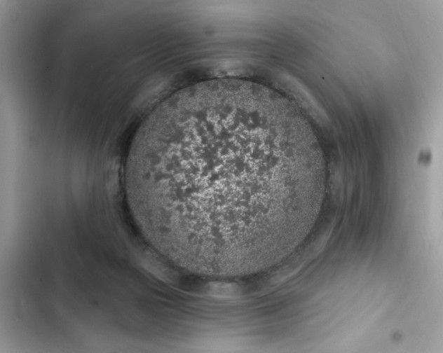 X0000102360169200808151821