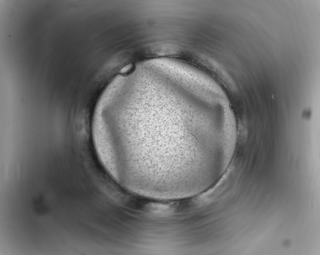 X0000102360170200808151821