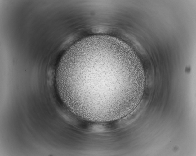 X0000102360171200808151821