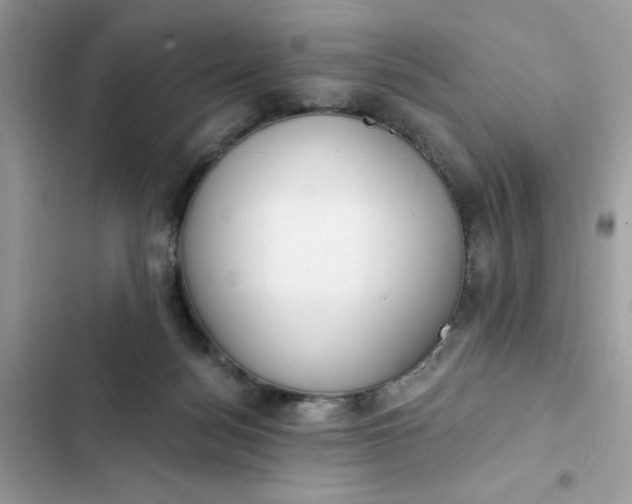 X0000102360172200808151821