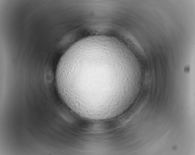 X0000102360173200808151821