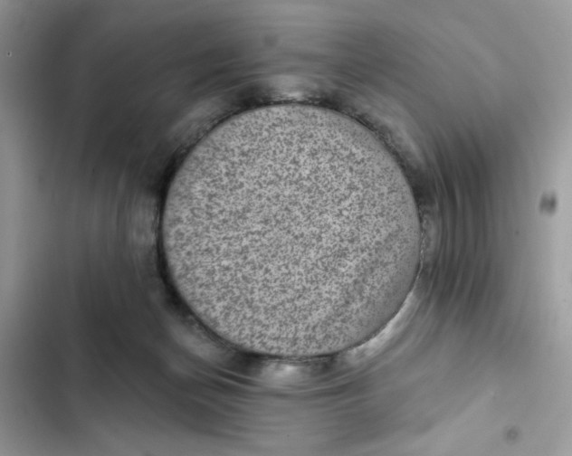 X0000102360174200808151821