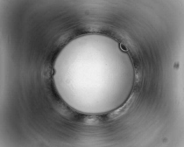 X0000102360175200808151821