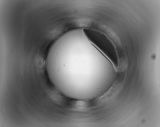 X0000102360176200808151821