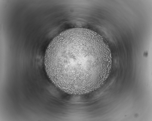 X0000102360177200808151821