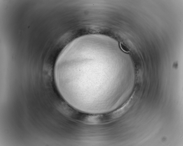 X0000102360178200808151821