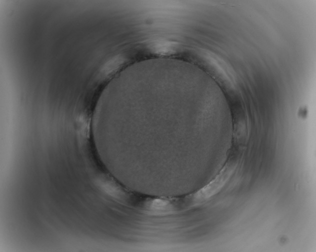 X0000102360180200808151821