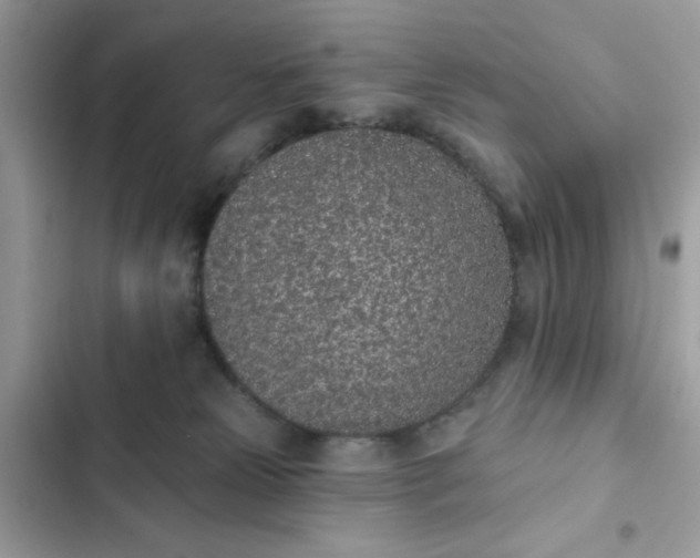 X0000102360181200808151821