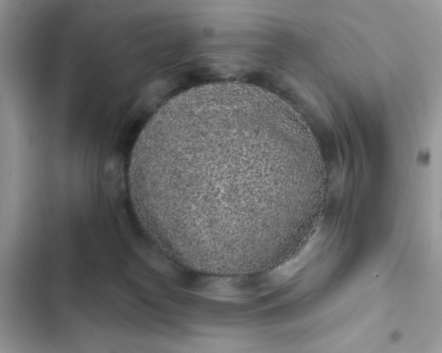 X0000102360182200808151821