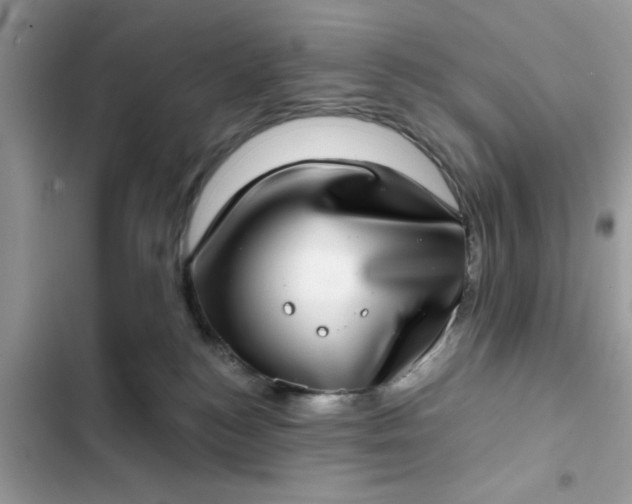 X0000102360184200808151821