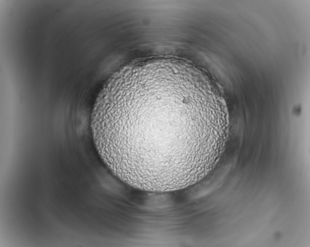 X0000102360185200808151821