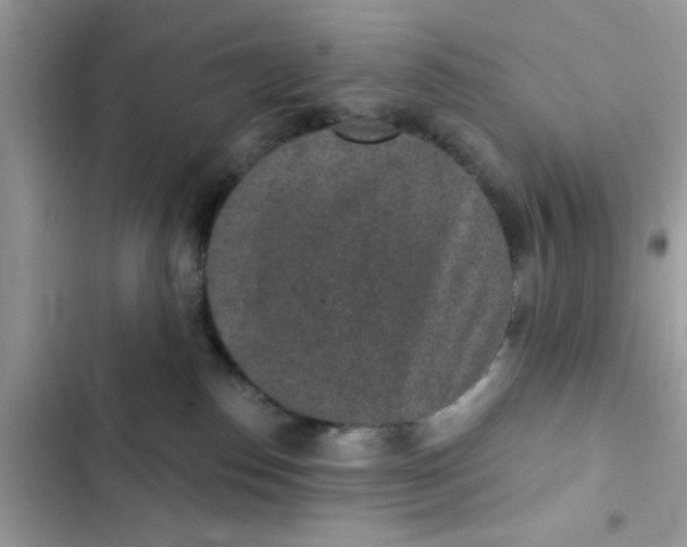 X0000102360186200808151821