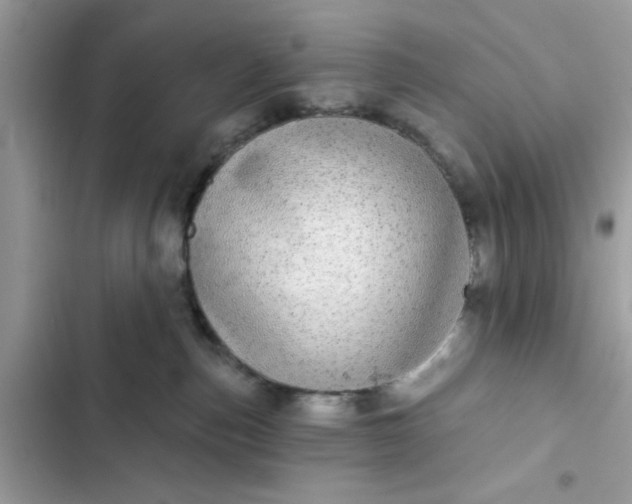 X0000102360187200808151821