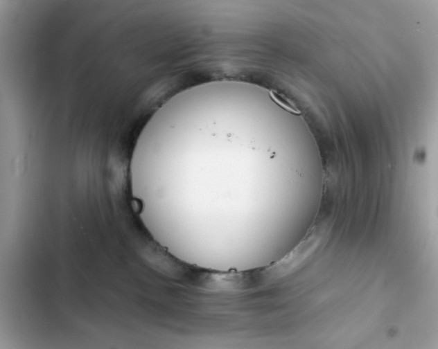 X0000102360188200808151821