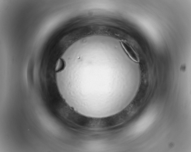 X0000102360189200808151821