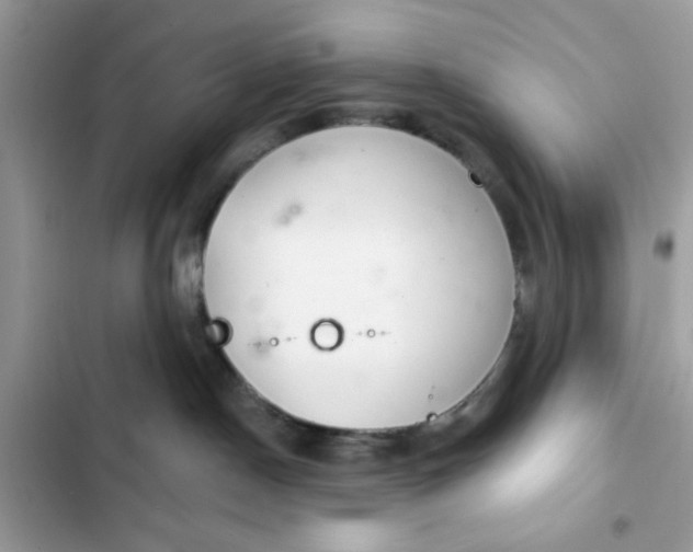 X0000102360190200808151821