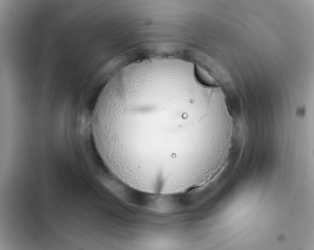 X0000102360191200808151821