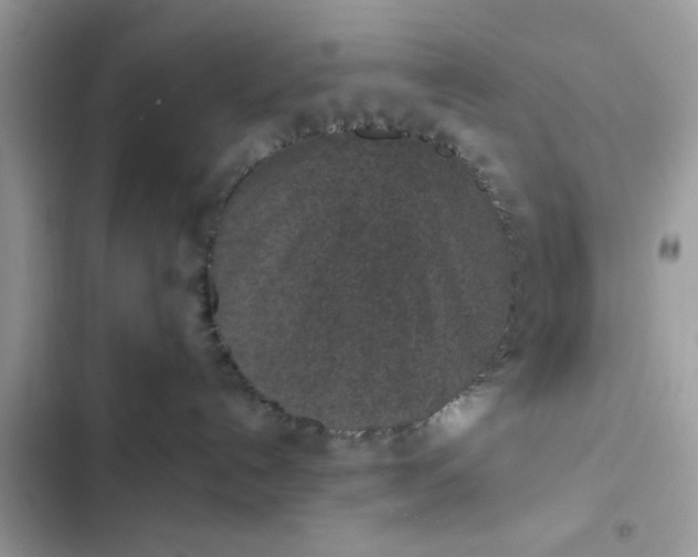 X0000102360192200808151821