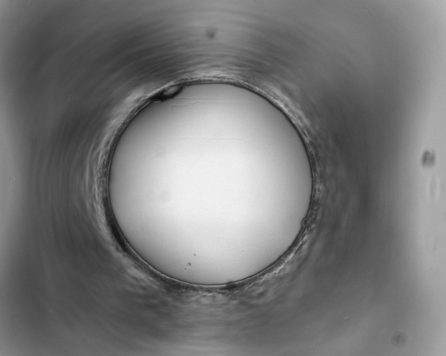 X0000102360193200808151820