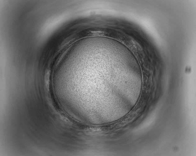 X0000102360194200808151820