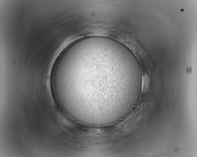 X0000102360195200808151820