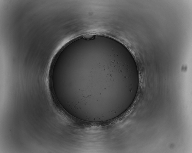 X0000102360196200808151820