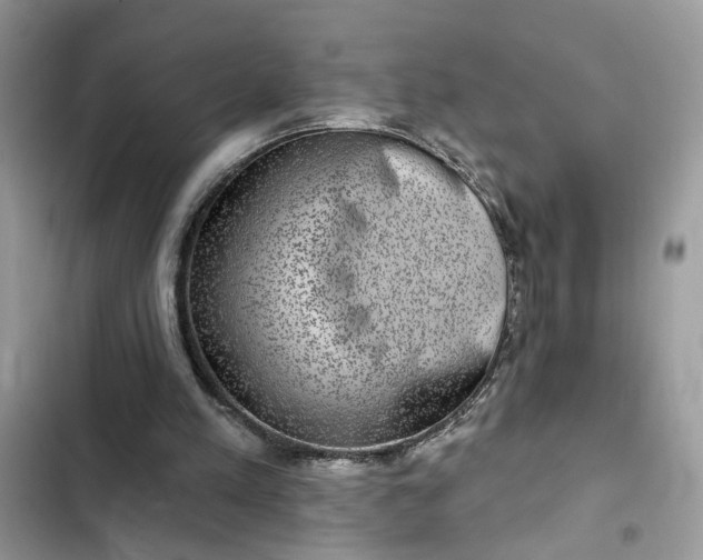 X0000102360197200808151820