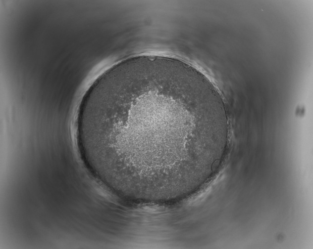 X0000102360199200808151820