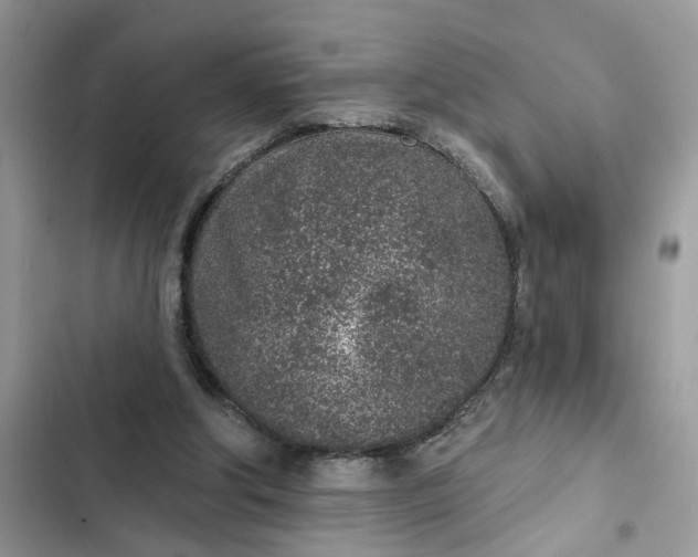 X0000102360202200808151820