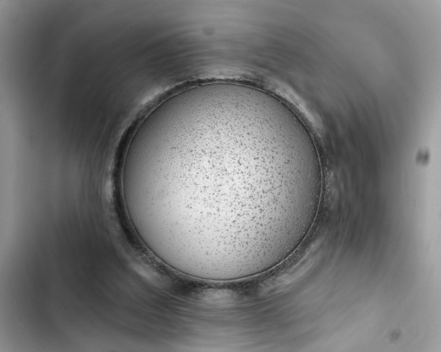 X0000102360203200808151820