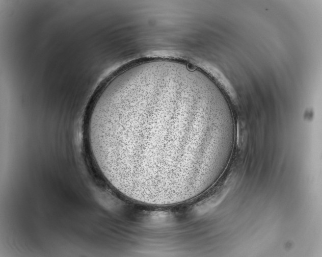 X0000102360204200808151820