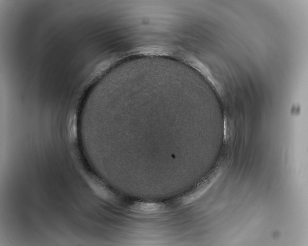 X0000102360205200808151820