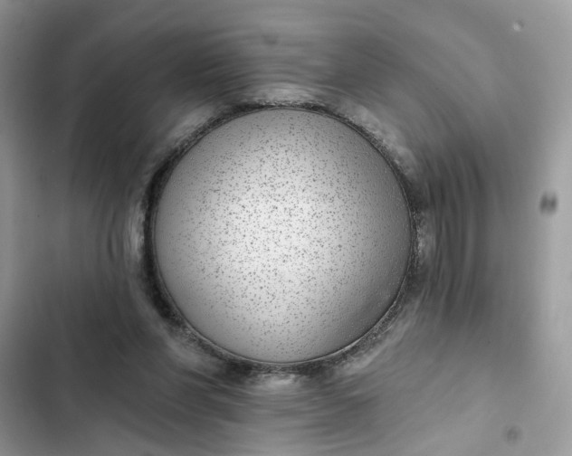 X0000102360206200808151820