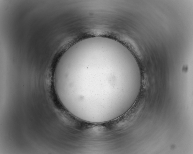 X0000102360210200808151820