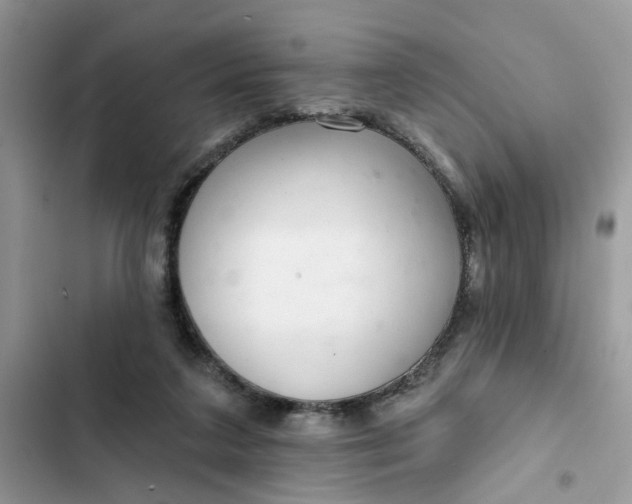 X0000102360211200808151820