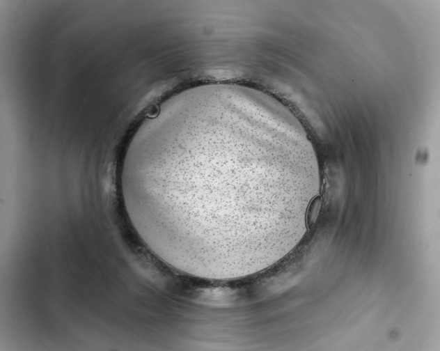 X0000102360212200808151820