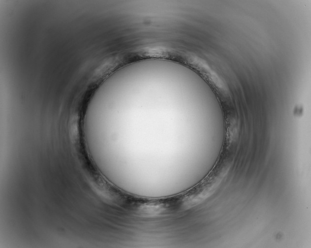 X0000102360213200808151820