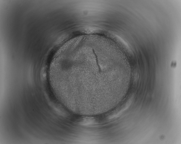 X0000102360214200808151820