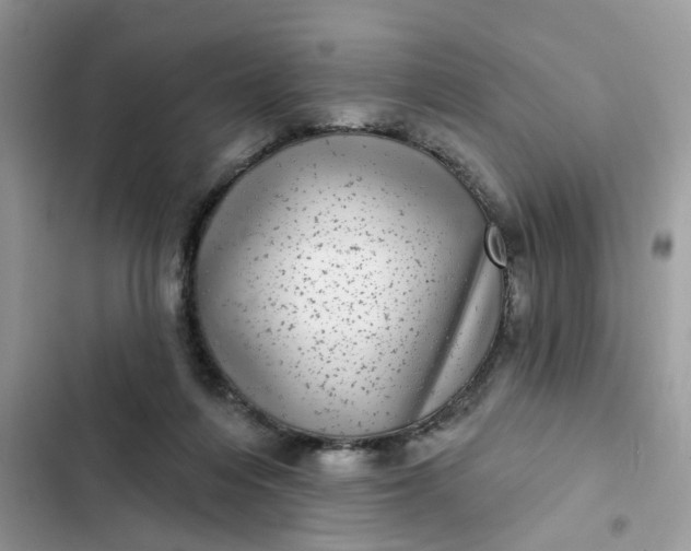 X0000102360216200808151820