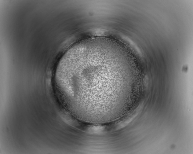 X0000102360217200808151820