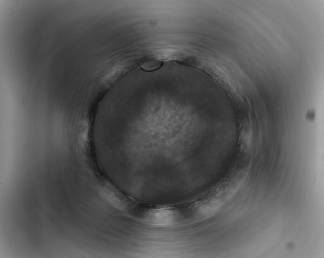 X0000102360219200808151820