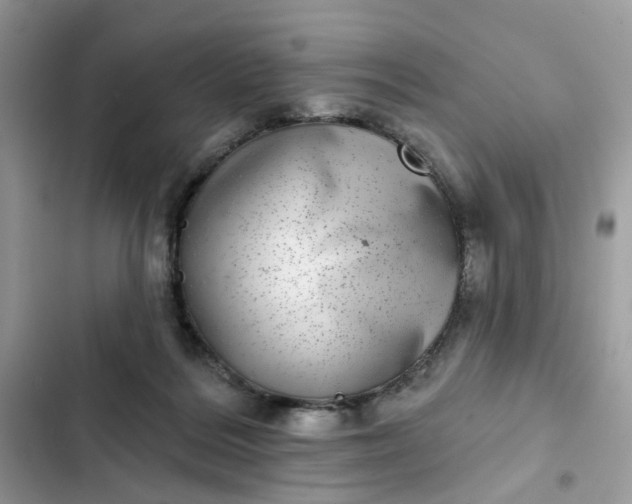 X0000102360220200808151820