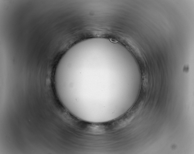 X0000102360221200808151820