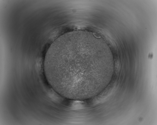 X0000102360222200808151820